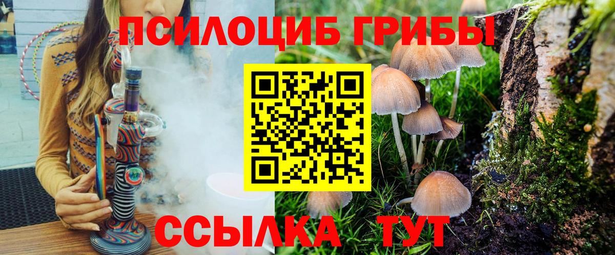 Псилоцибиновые грибы GOLDEN TEACHER  Вход с VPN  Псилоцибиновые грибы ЛСД  Мурино 