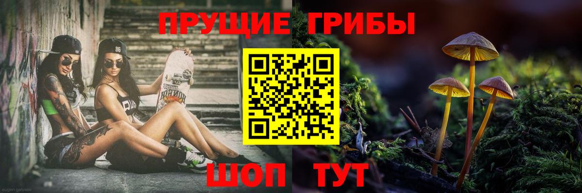 Галлюциногенные грибы MAGIC MUSHROOMS Мурино